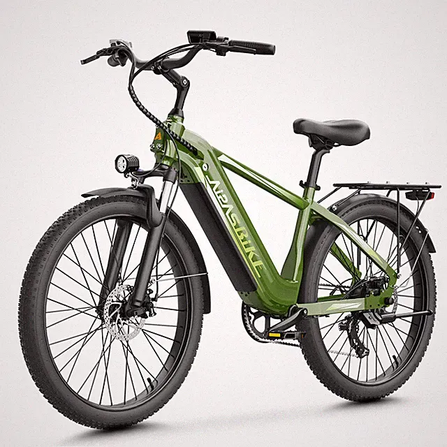 Aipas Electric Bike 1100W Peak 48V 18Ah 24'' Fat Tire All-terrain Mountain Bike